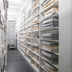 Solander Box Storage for Museums | Southwest Solutions Group