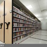 dvd library shelving